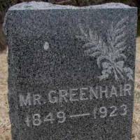Mr. GREENHAIR